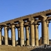 temple_luxor_lux_h_0162_egy3646.jpg